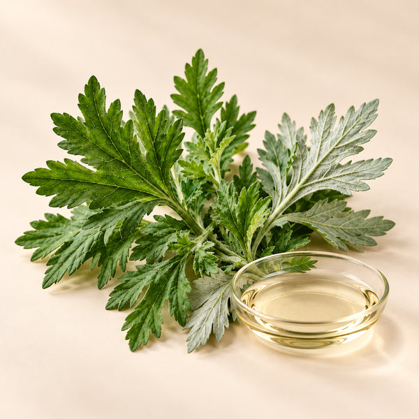 Mugwort Leaf Oil