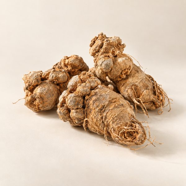 Panax Notoginseng